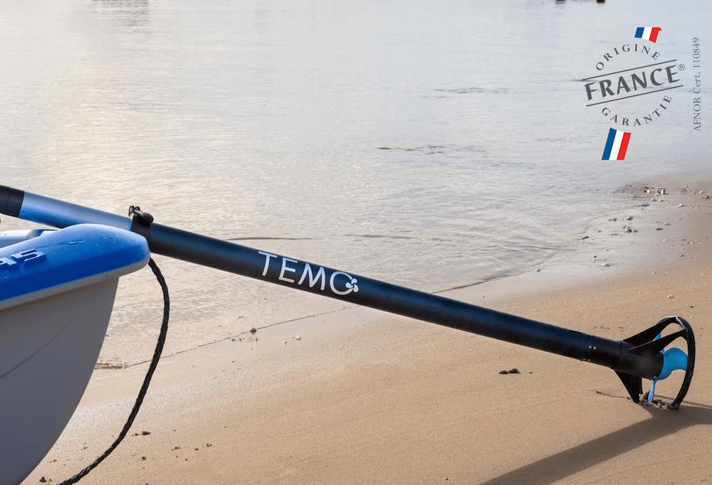 Moteur électrique TEMO 450