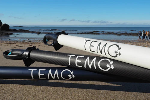 Moteur électrique TEMO 450