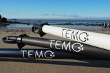 Moteur électrique TEMO 450