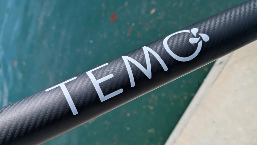Moteur électrique TEMO 450