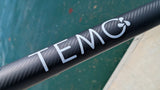 Moteur électrique TEMO 450